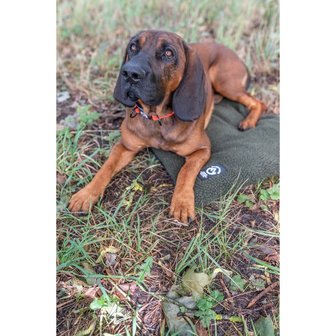 gekruld Koopje Zeemeeuw Pro-Thermo Honden mat, 70 x 50 / 70 x 100 cm Groen - Waidmann | Jachtwinkel  voor jacht-, outdoor- en hondenartikelen