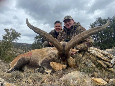 Beceite Ibex l&#039;Espagne