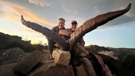 Beceite Ibex l&#039;Espagne