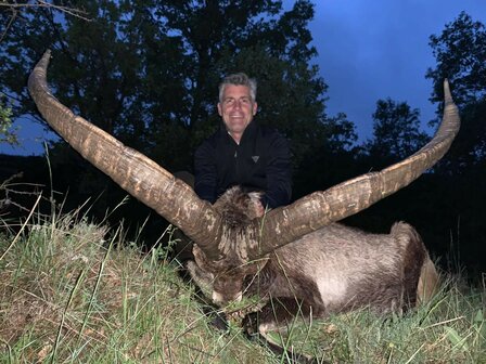 Beceite Ibex Spanje