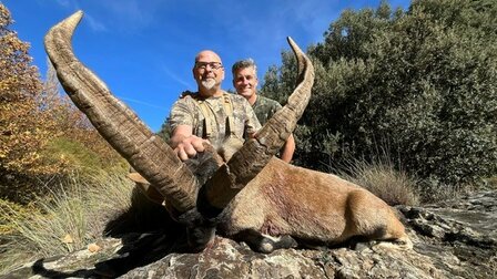 Sierra Nevada Ibex Spanien