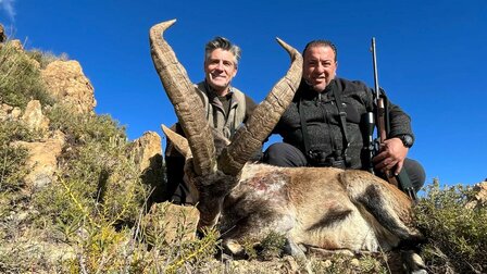 Ronda Ibex Spain