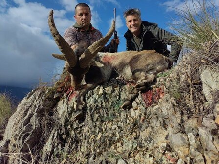 Ronda Ibex Spain