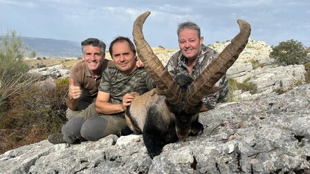 Ronda Ibex Spain