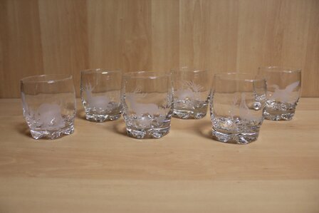 Glasses Set 6 Pieces with wild motif