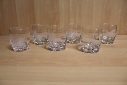 Glasses Set 6 Pieces with wild motif