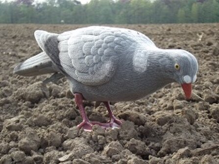 Full Body Pigeon floqu&eacute; 40cm 10 pi&egrave;ces