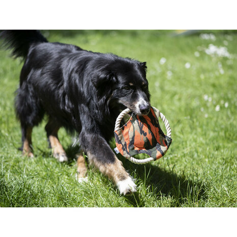 Tulpen Frustratie genoeg Honden frisbee Camo Farm-land - Waidmann | Jachtwinkel voor jacht-,  outdoor- en hondenartikelen