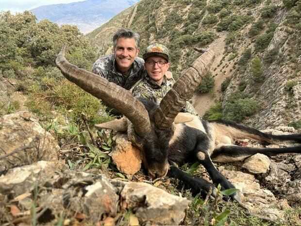 Sierra Nevada Ibex l'Espagne