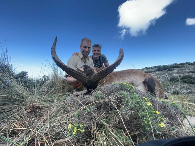 Ronda Ibex Spain