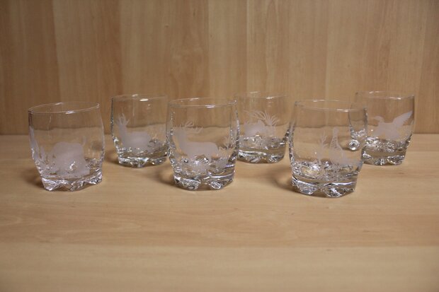 Glasses Set 6 Pieces with wild motif