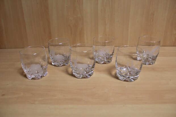 Glasses Set 6 Pieces with wild motif