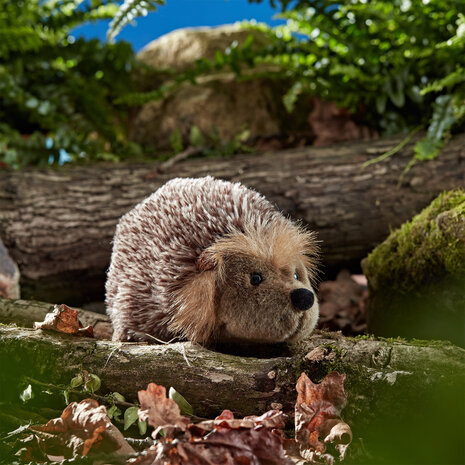 Plush animal Hedgehog