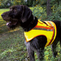 Reflective-vest-for-dogs