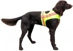 Dog-safety-vest-Large